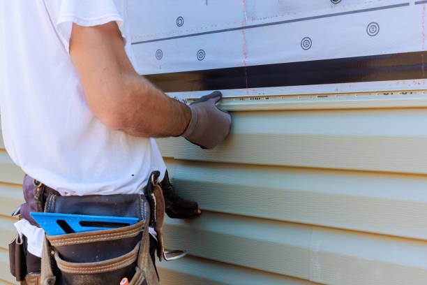 Best Vinyl Siding Installation  in Union Park, FL